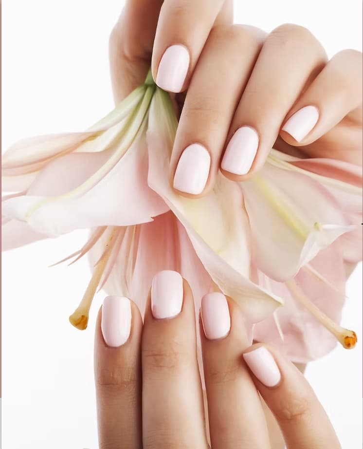Hands with soft, healthy pale-pink natural nails cradling a pink lily